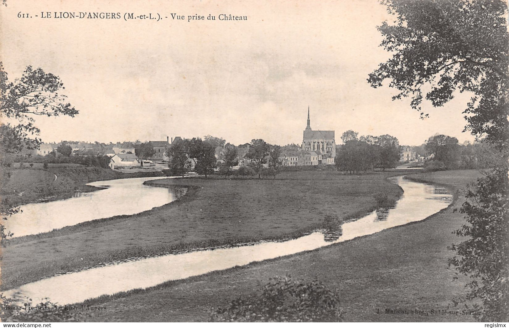 49-LE LION D ANGERS-N°T1169-H/0195 - Autres & Non Classés