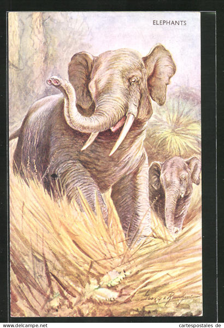 AK Elephants, Elefanten In Der Savanne  - Olifanten