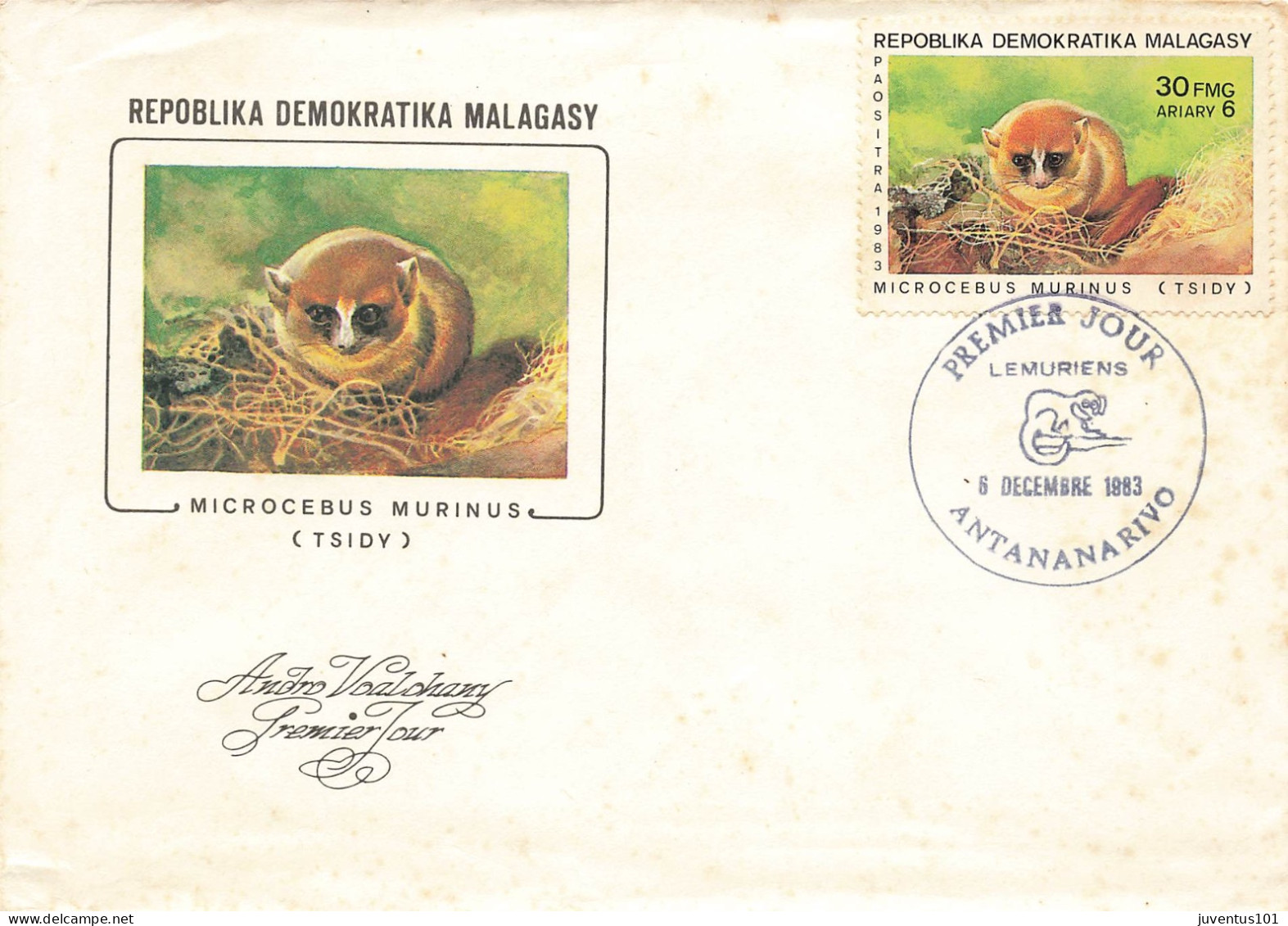 Enveloppe 1er Jour Lémuriens-Microcebus Murinus Tsidy Madagascar-Antananarivo-Beau Timbre-RARE   L2911 - Madagascar (1960-...)