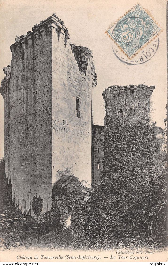 76-TANCARVILLE LE CHATEAU-N°T1172-A/0095 - Tancarville