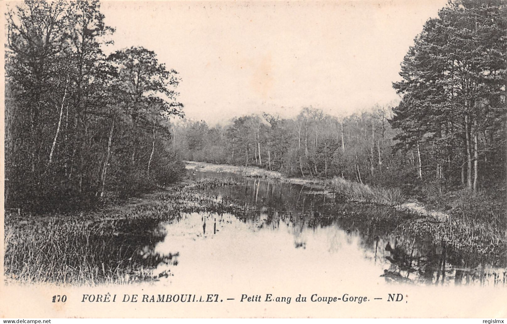 78-RAMBOUILLET LA FORET-N°T1172-A/0027 - Sonstige & Ohne Zuordnung