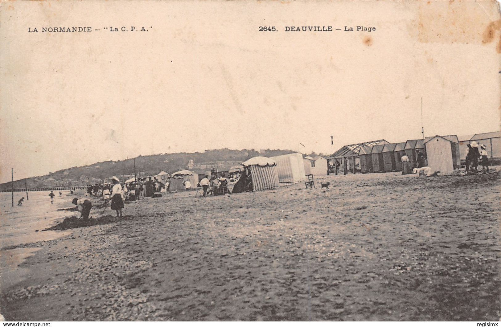 14-DEAUVILLE-N°T1172-H/0231 - Deauville