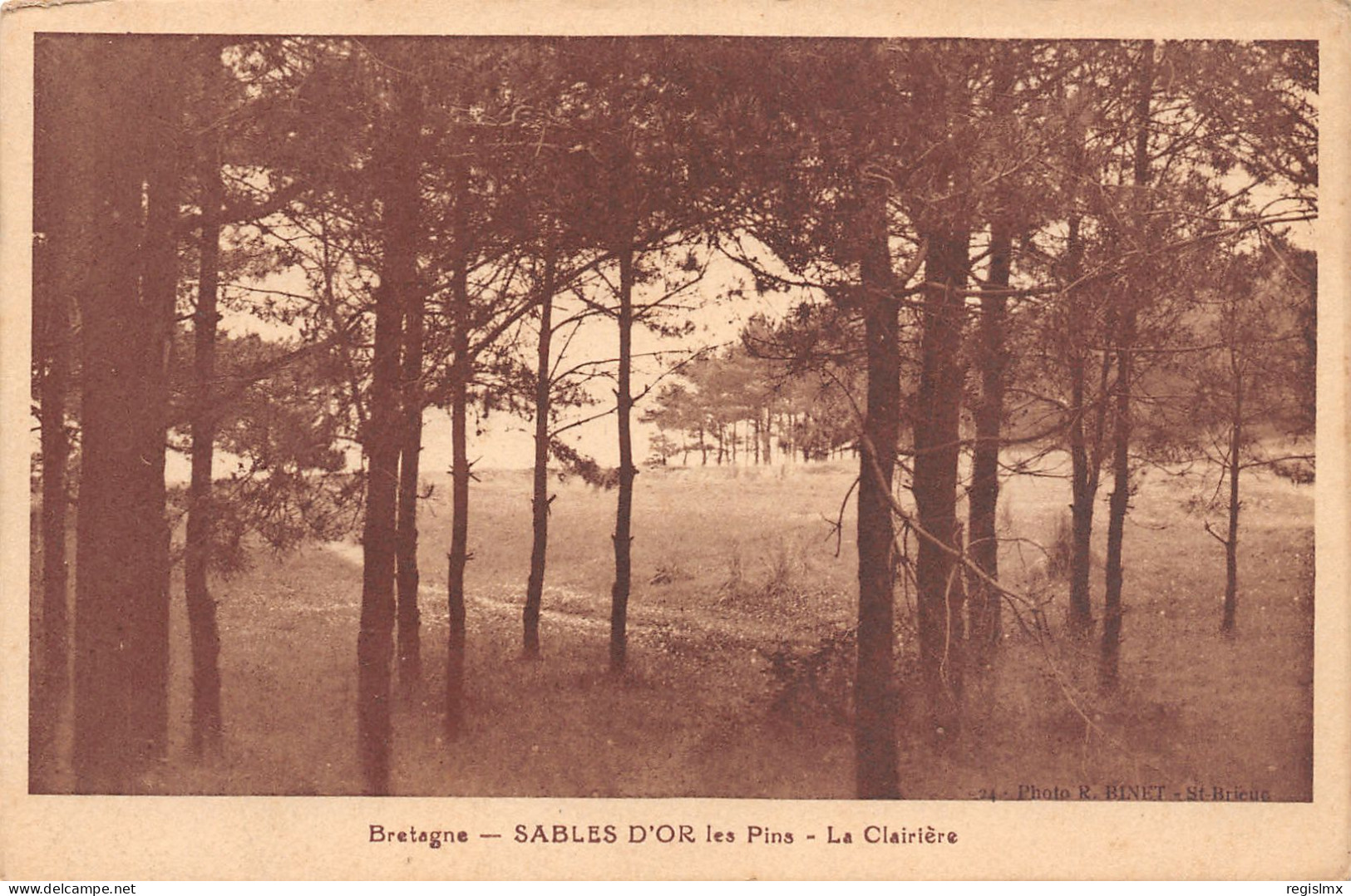 22-SABLES D OR LES PINS-N°T1173-A/0359 - Sonstige & Ohne Zuordnung