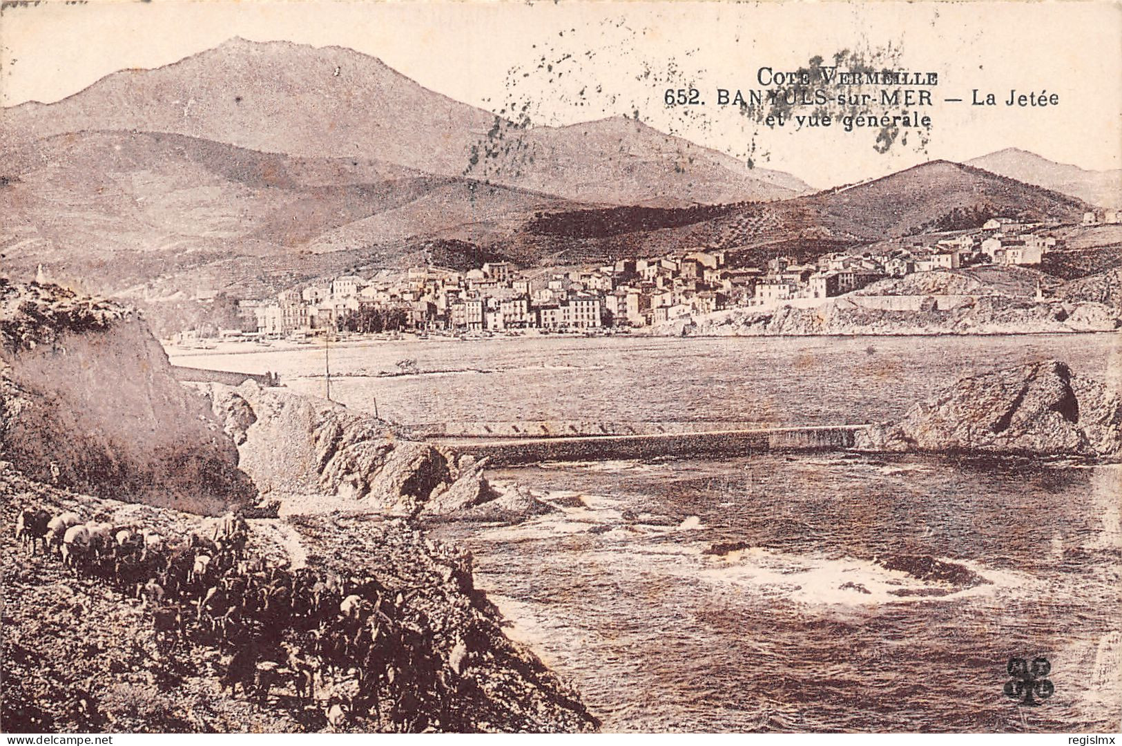 66-BANYULS SUR MER-N°T1174-F/0101 - Banyuls Sur Mer