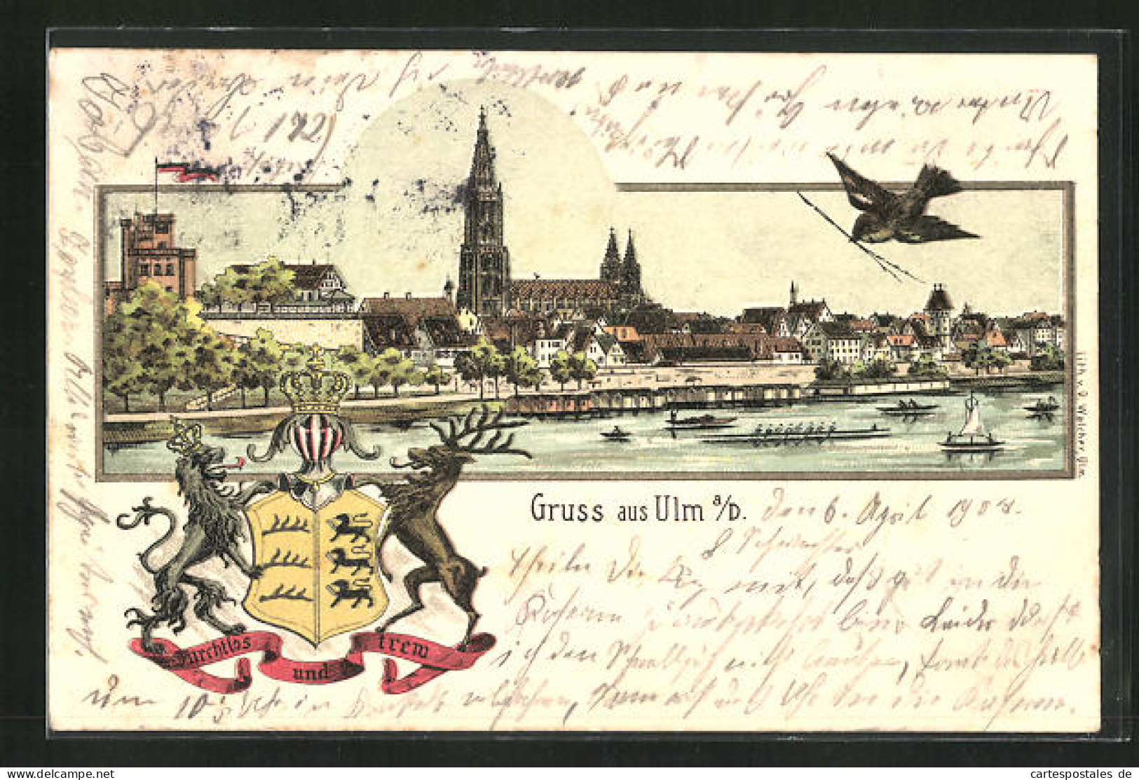 Lithographie Ulm, Totalansicht Mit Donau, Wappen  - Ulm