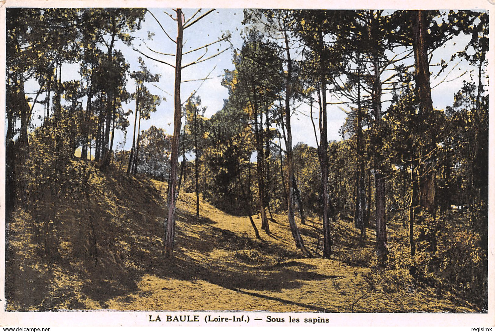 44-LA BAULE-N°T1175-C/0143 - La Baule-Escoublac