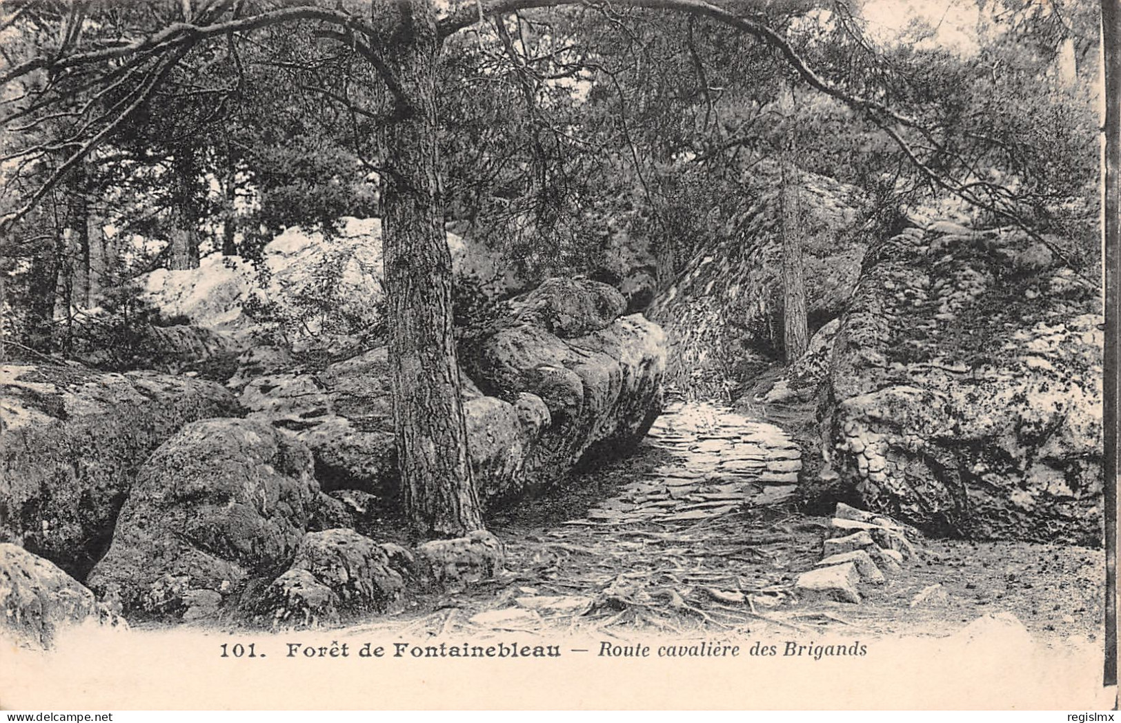 77-FONTAINEBLEAU LA FORET ROUTE CAVALIERE DES BRIGANDS-N°T1177-B/0211 - Fontainebleau