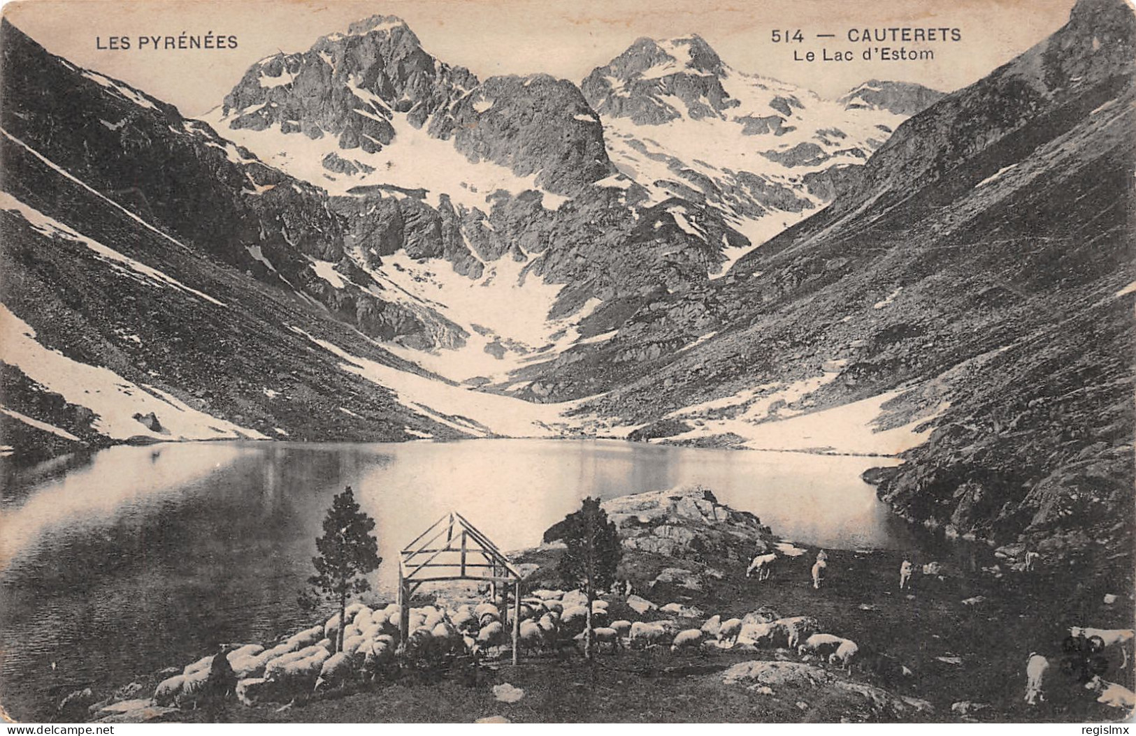 65-CAUTERETS-N°T1177-D/0349 - Cauterets