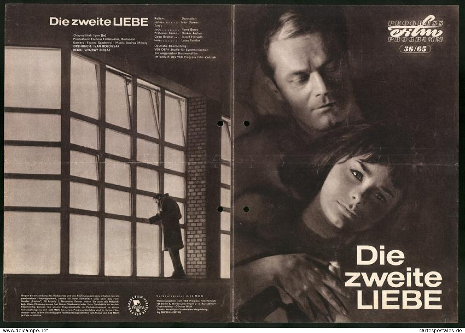 Filmprogramm PFP Nr. 36 /65, Die Zweite Liebe, Ivan Darvas, Ilona Beres, Regie: György Revesz  - Revistas