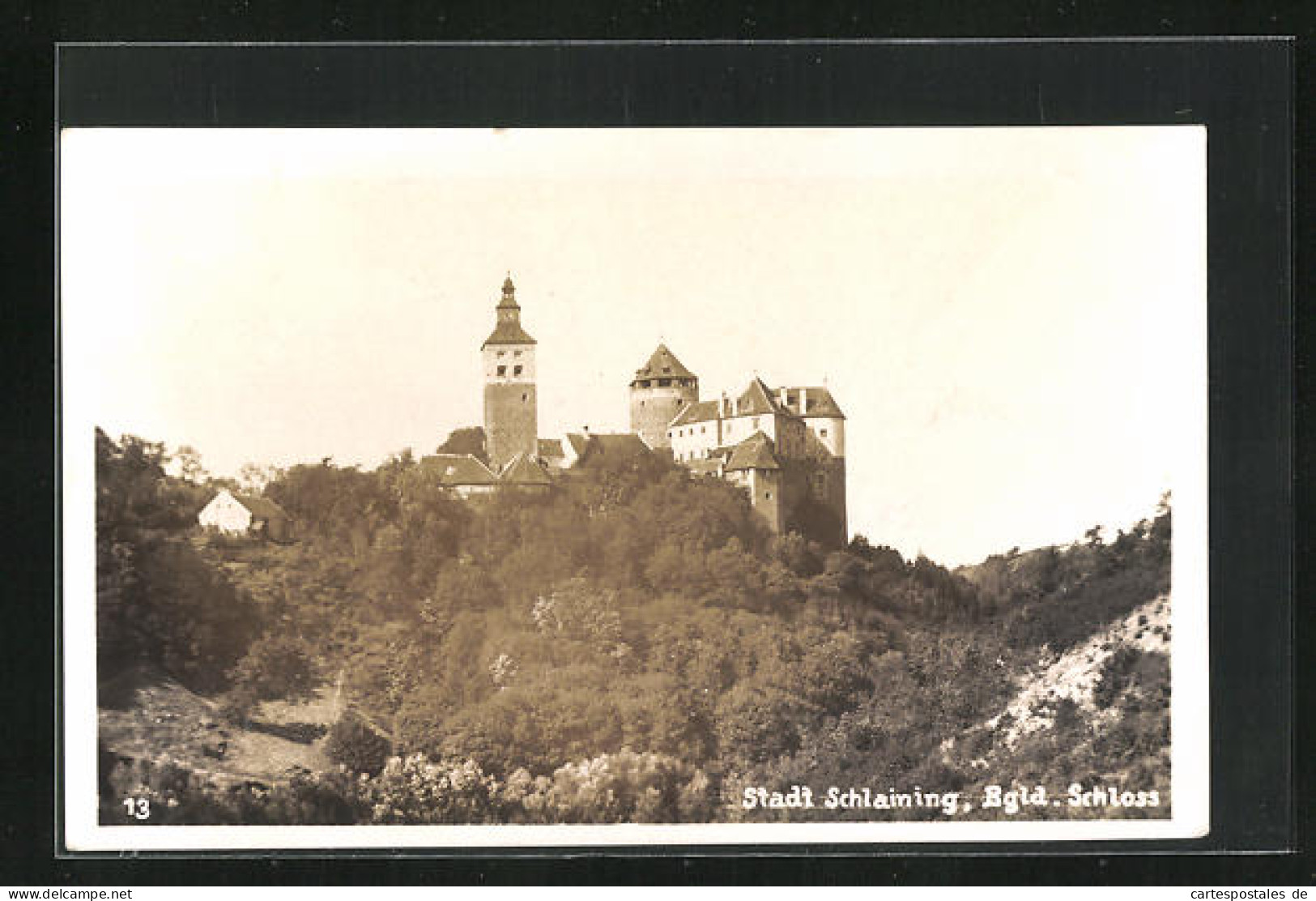 AK Stadt Schlaining, Schloss Auf Dem Berg  - Autres & Non Classés