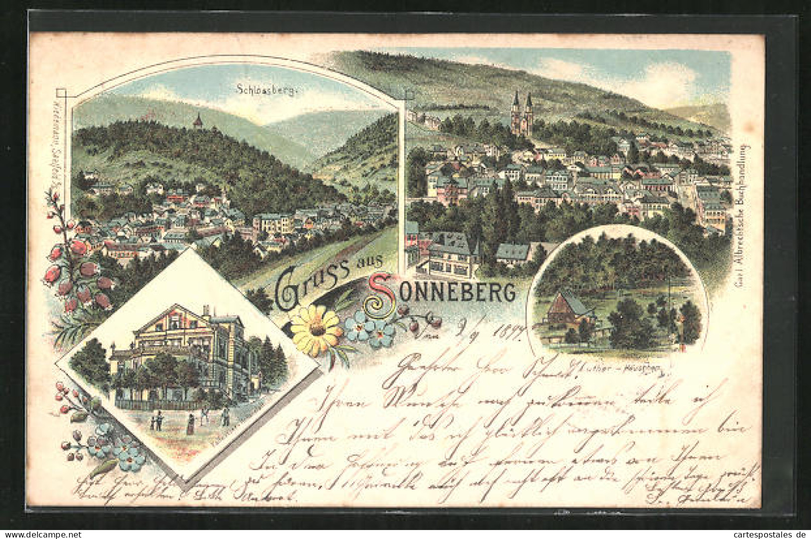 Lithographie Sonneberg, Schlossberg, Kaltwasser Heilanstalt, Luther-Häuschen  - Sonneberg