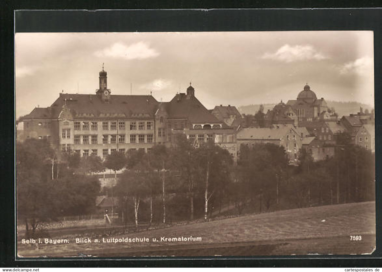 AK Selb I. Bayern, Blick Auf Luitpoldschule Und Krematorium  - Selb