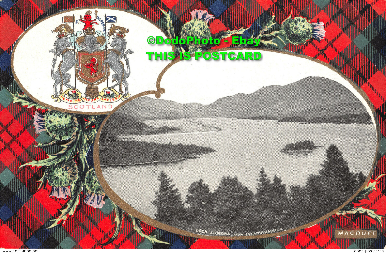 R346110 Scotland. Loch Lomond From Inchtavannach. Macduff. B. And R S. Camera Se - Monde