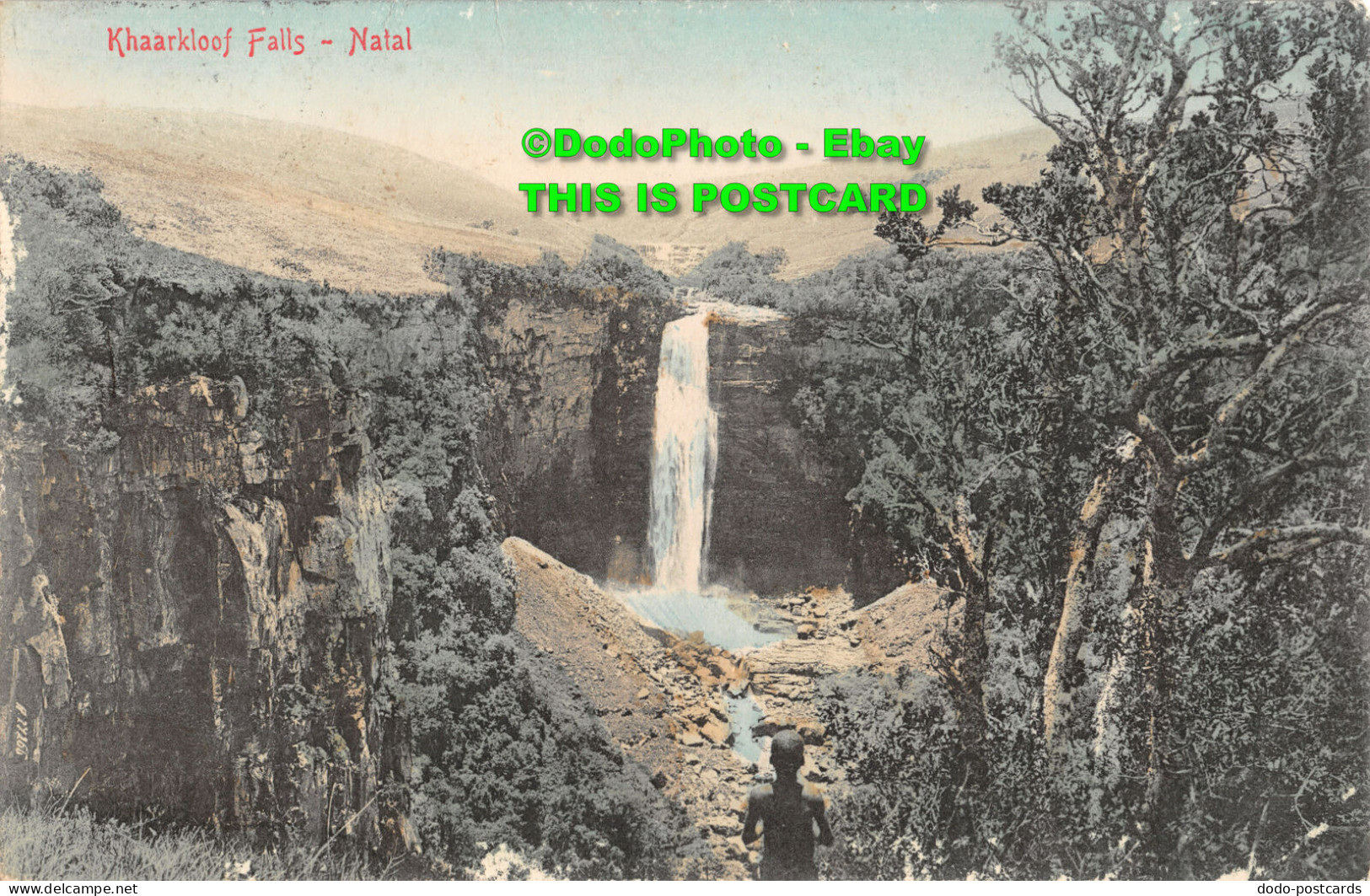 R346144 Natal. Khaarkloof Falls. Sallo Epstein. 1907 - Monde