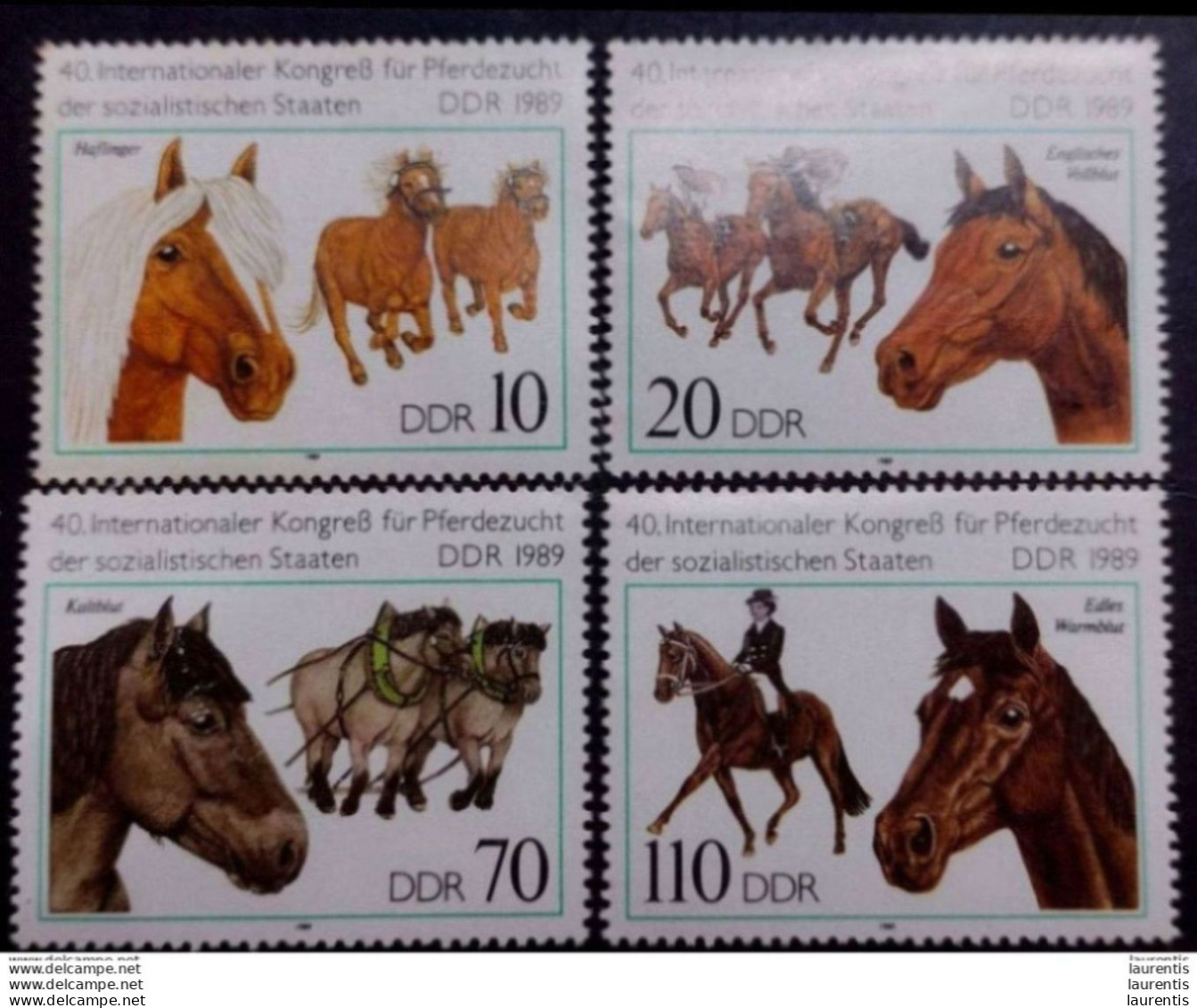 D233. Horses - Chevaux -  RDA Yv 2868-71 MNH - 1,25 (5) - Paarden
