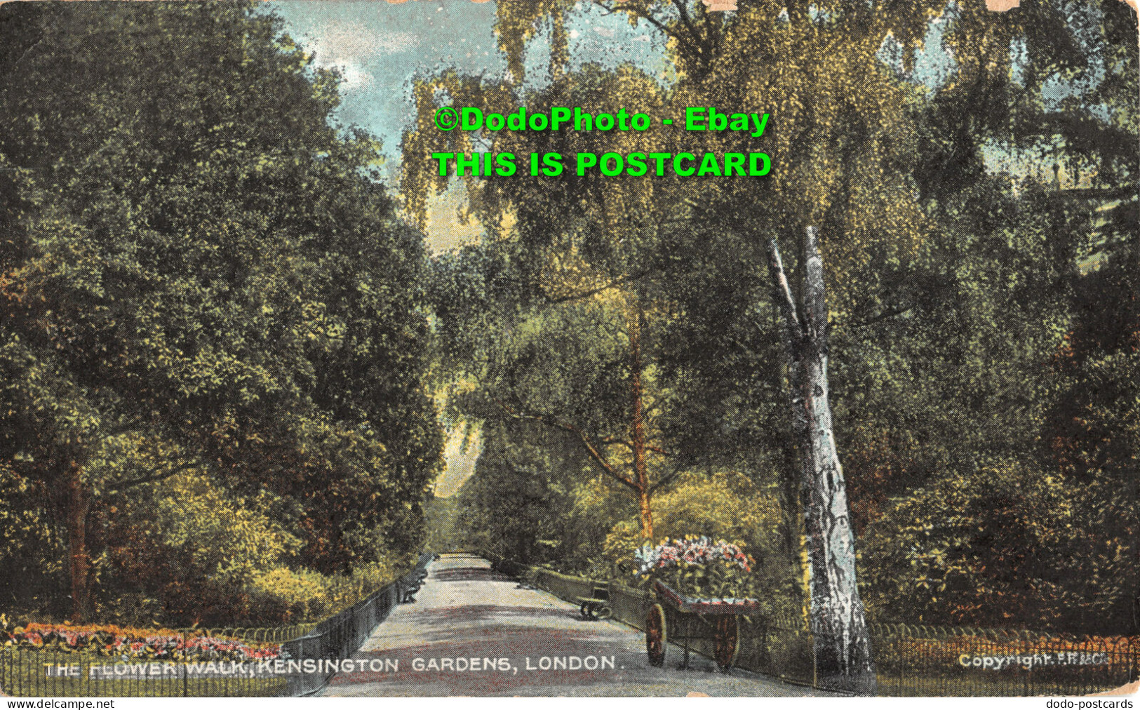 R346400 London. Kensington Gardens. The Flower Walk. G. D. And D. The Star Serie - Altri & Non Classificati