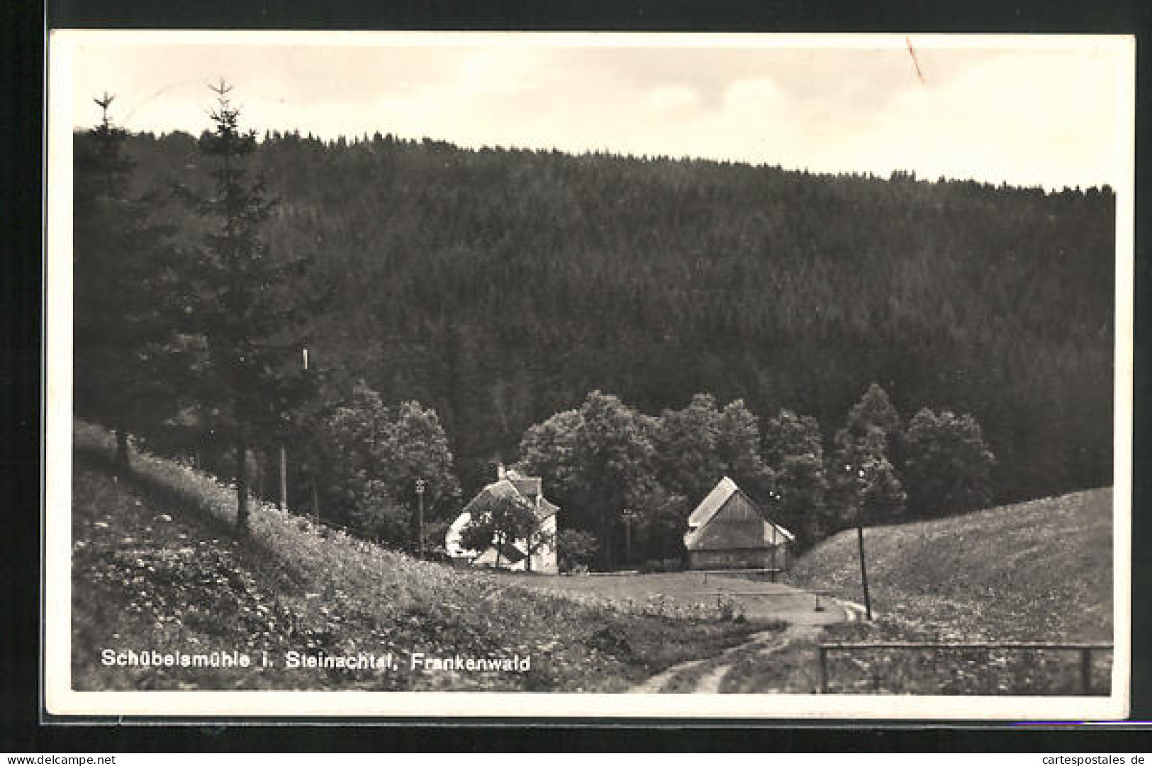 AK Schübelsmühle /Steinachtal, Ortspartie Mit Waldstück  - Autres & Non Classés