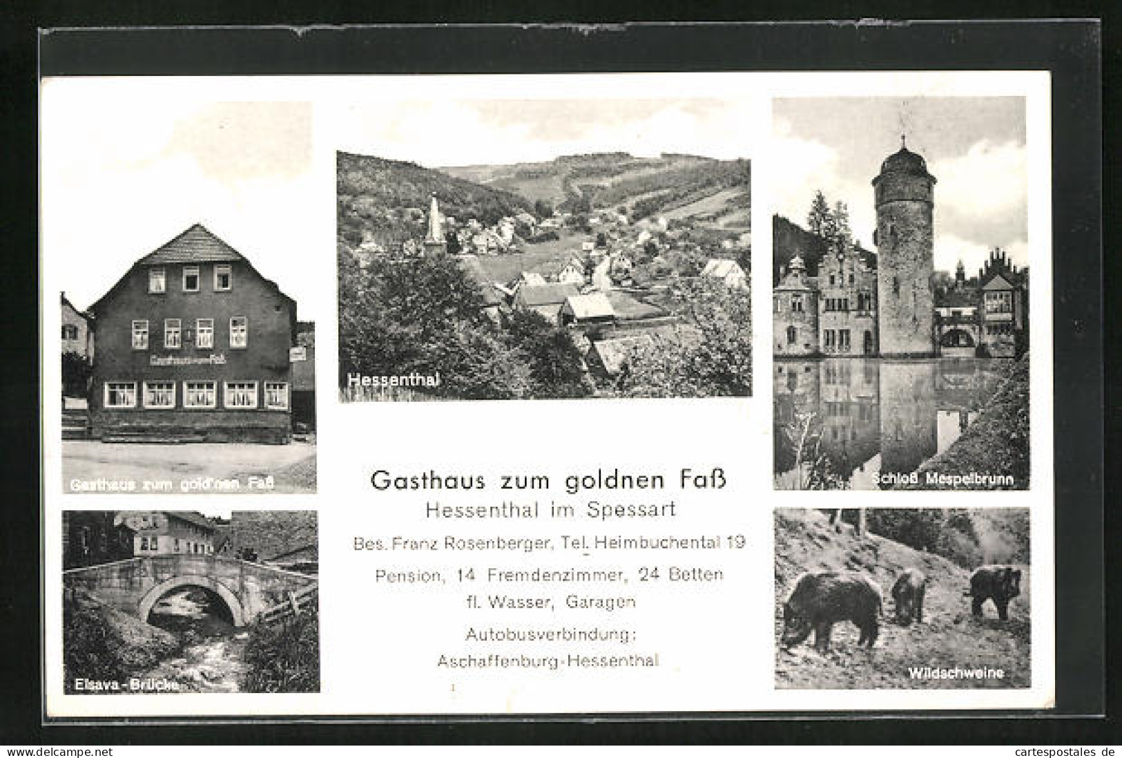 AK Hessenthal Im Spessart, Gasthaus Zum Gold`nen Fass, Elsava-Brücke, Schloss Mespelbrunn, Wildscheine  - Autres & Non Classés