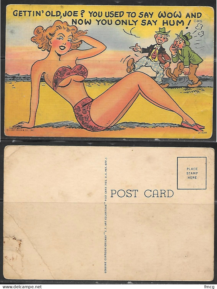 Humor, Bikini, Girl, Two Guys Talking Postcard - Humor