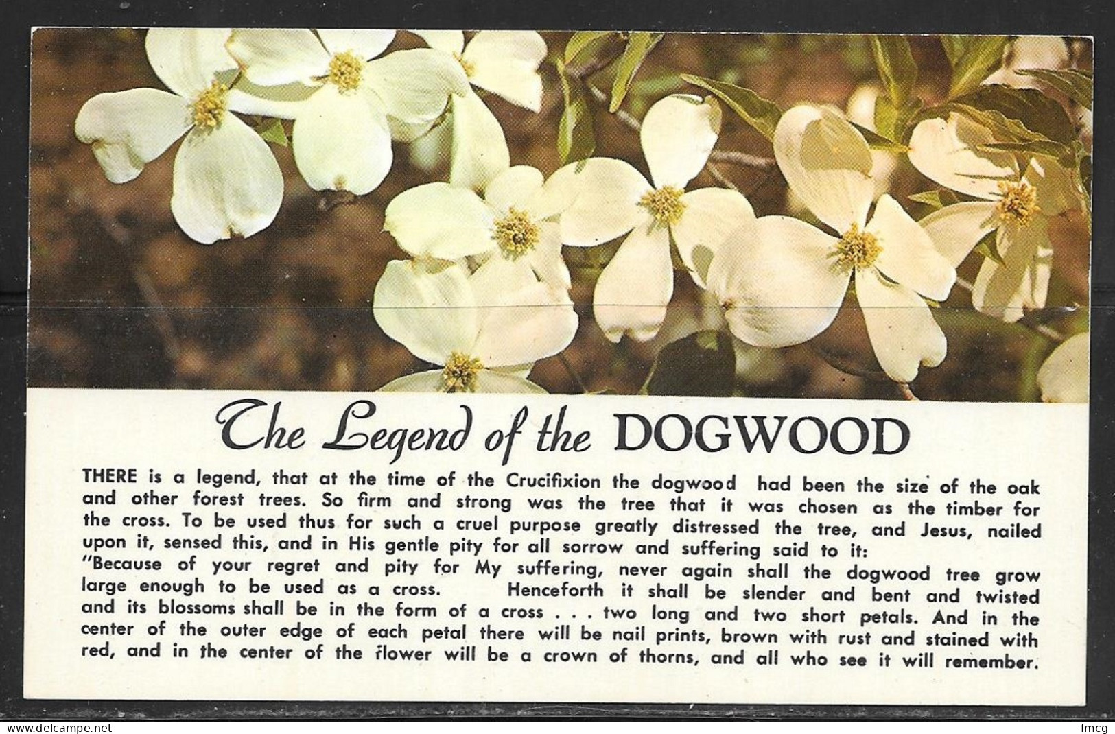 Christian Postcard, Legend Of The Dogwood, Unused - Other & Unclassified