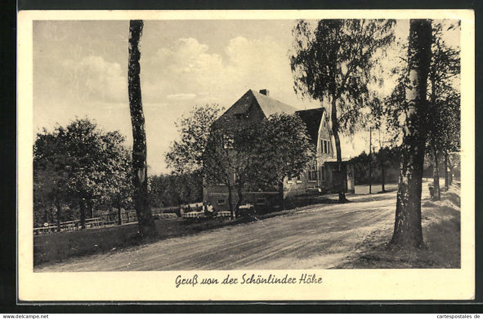 AK Schönerlinde, Gasthaus Schönerlinder Höhe  - Autres & Non Classés