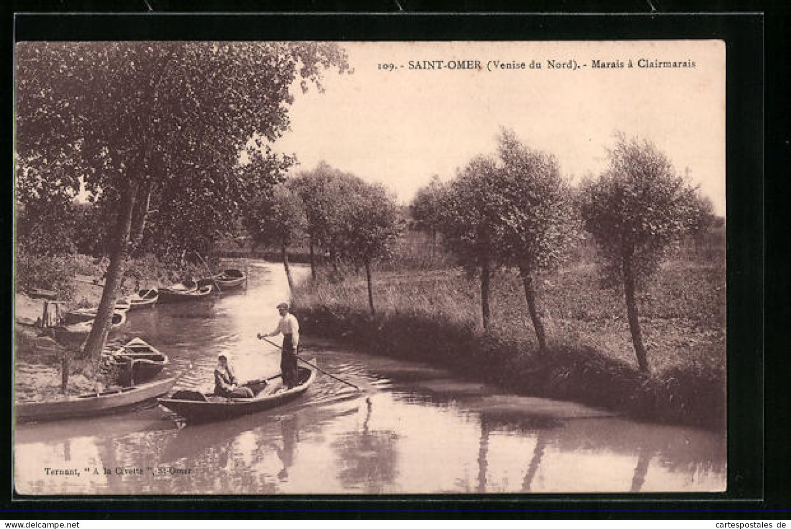 CPA Saint-Omer, Venise Du Nord - Marais à Clairmarais  - Saint Omer