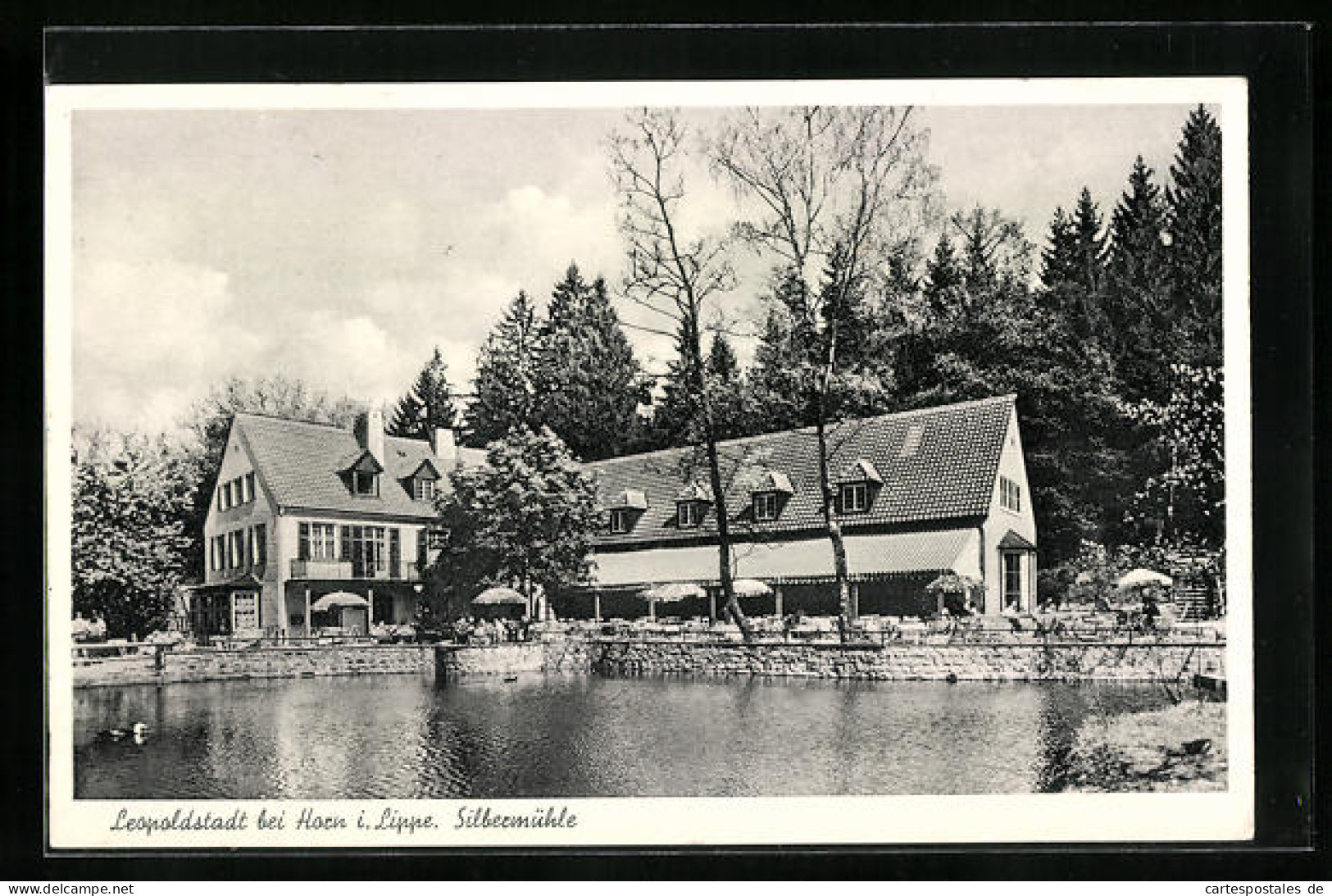 AK Horn-Leopoldstadt, Waldrestaurant U. Pension Silbermühle  - Autres & Non Classés