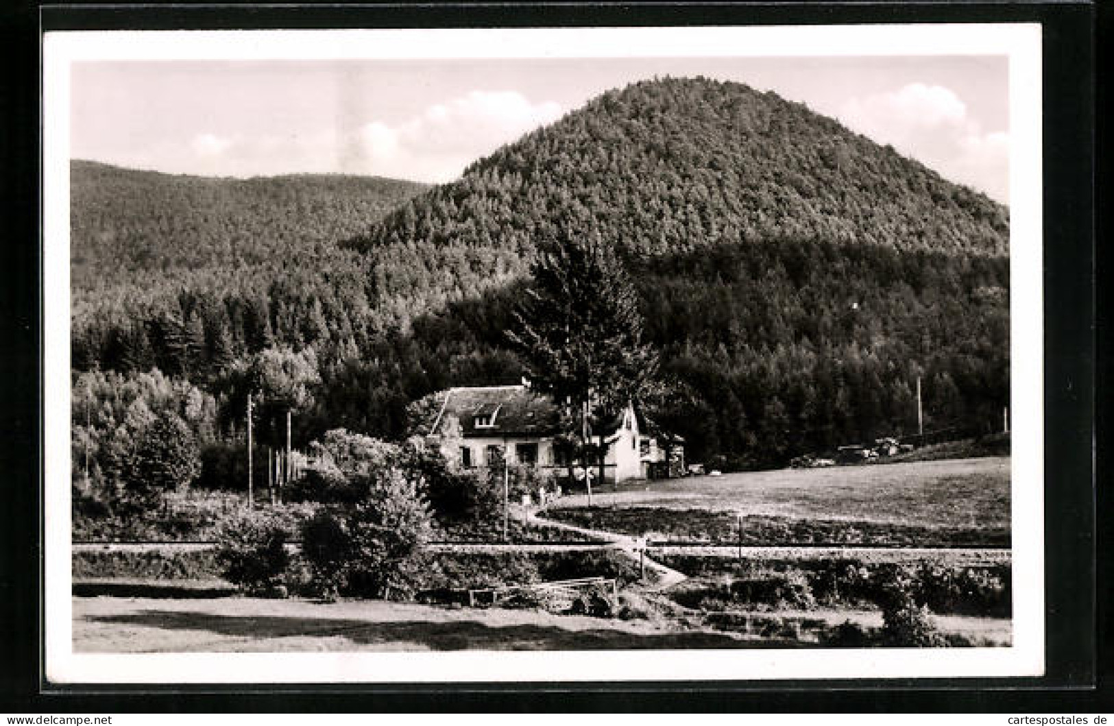 AK Breitenstein, Blick Zum Forsthaus  - Jagd