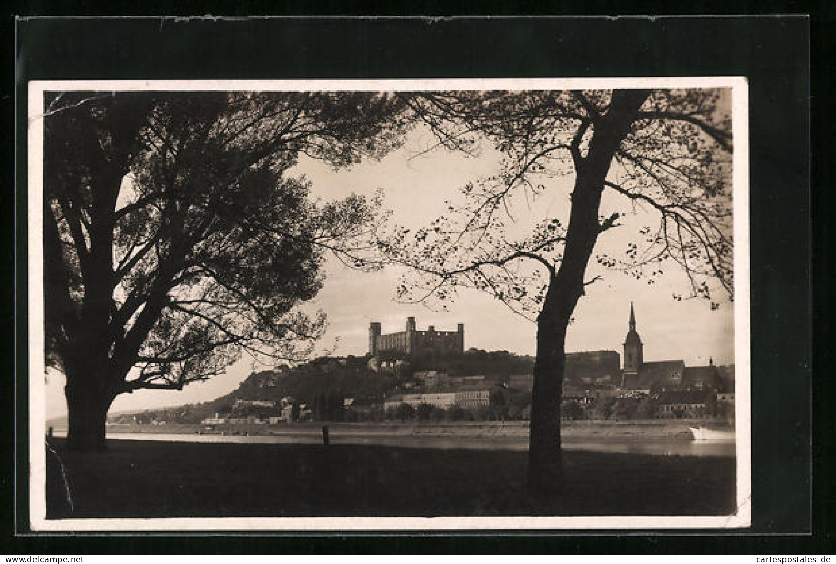 AK Pressburg, Blick Aus Der Au Auf Schloss Und Dom  - Slowakei