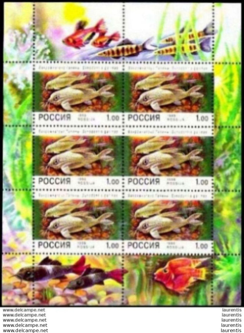 1301  Poissons - Russie 1998 Sheetlet - MNH - 5,85 - Fische