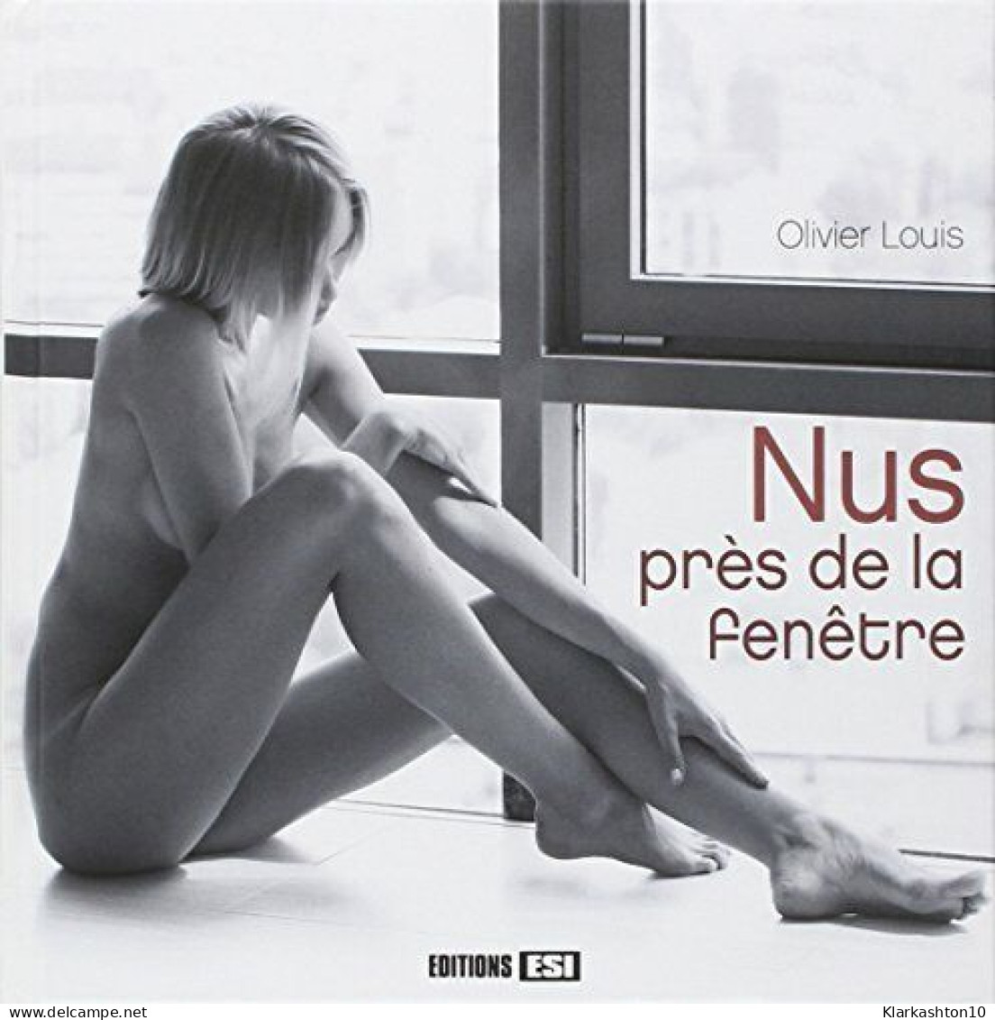 Nus Près De La Fenêtre - Other & Unclassified