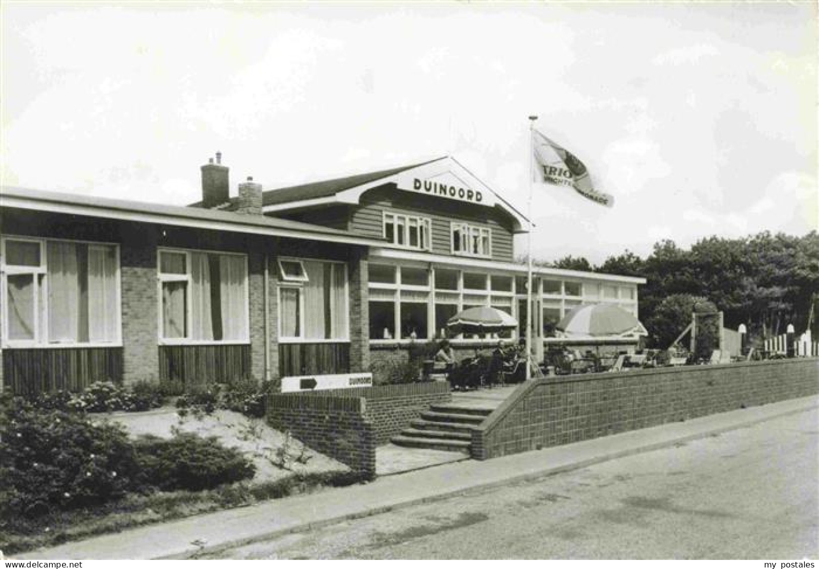 73976113 DEN_HELDER_NL Theehuis Pension Duinoord - Other & Unclassified