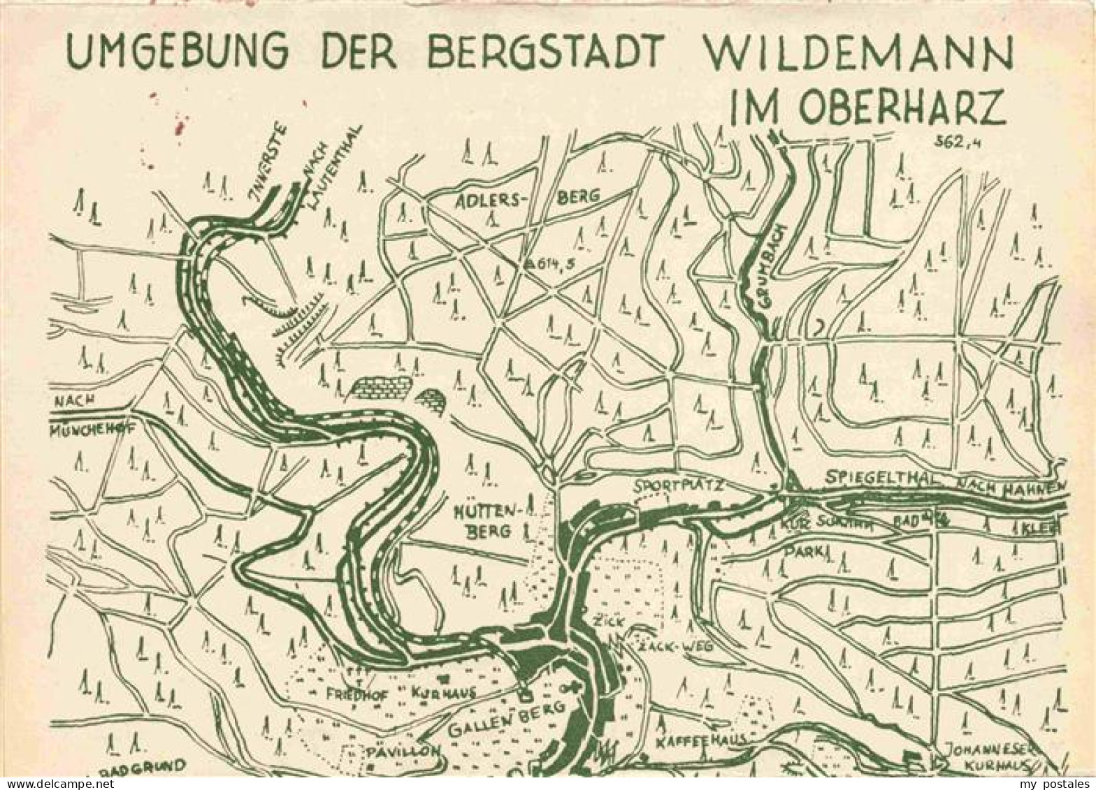 73976107 Wildemann_Harz Umgebung Der Bergstadt Uebersichtskarte - Wildemann