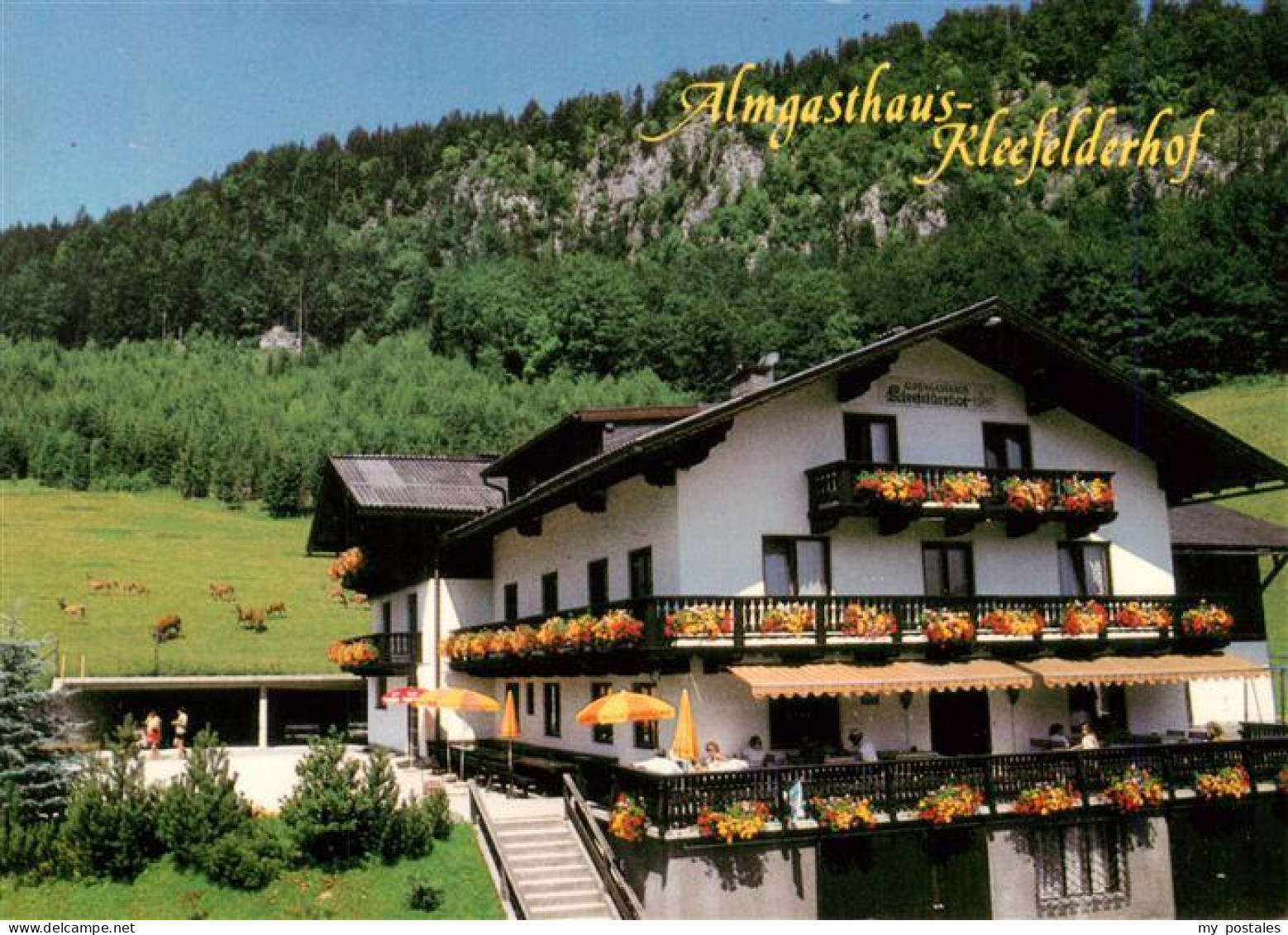 73945756 Strobl_Wolfgangsee_AT Almgasthof Kleefelderhof - Altri & Non Classificati