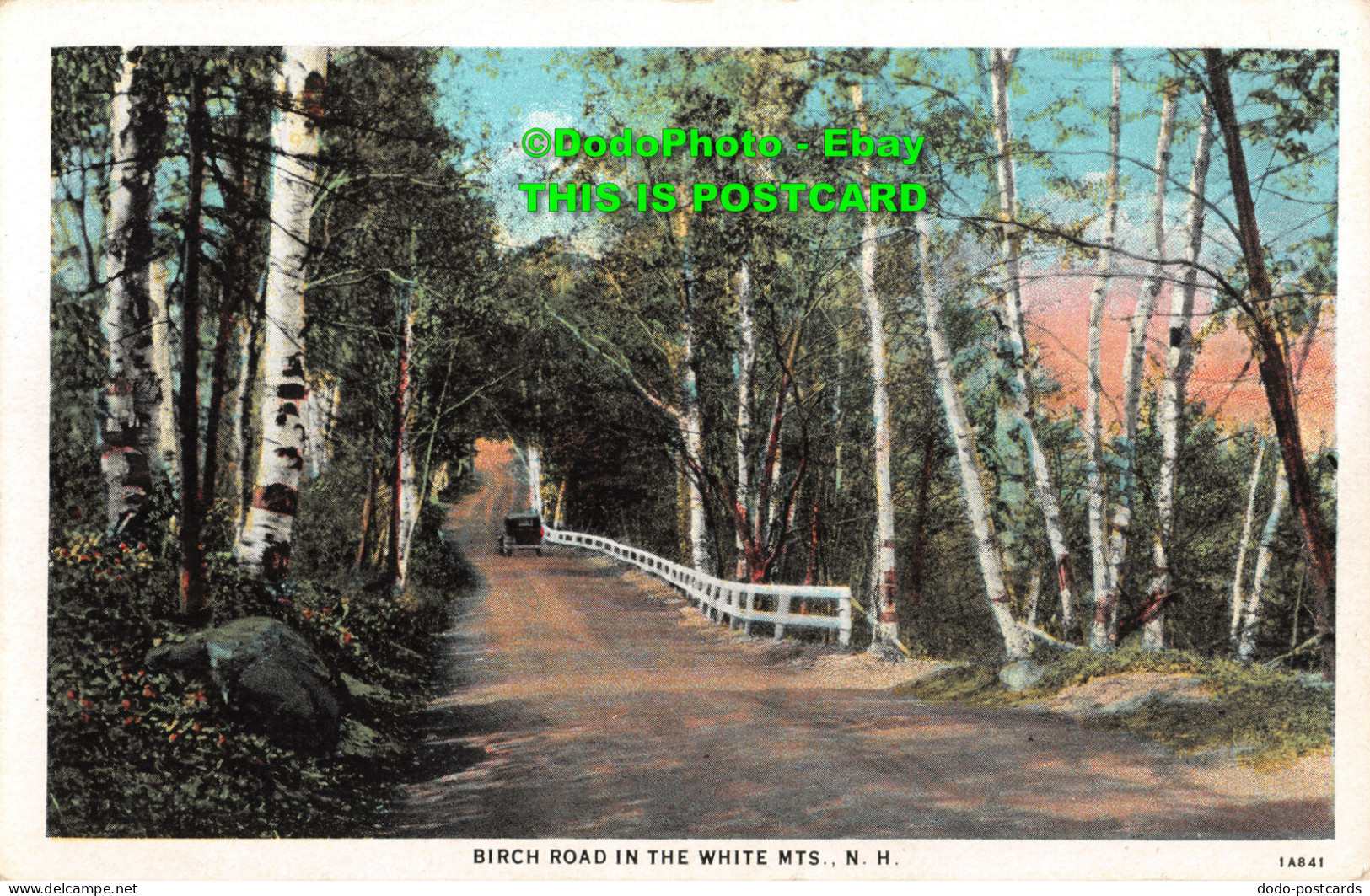 R346649 N. H. Birch Road In The White MTS. American Art Post Card Co. C. T. Amer - World