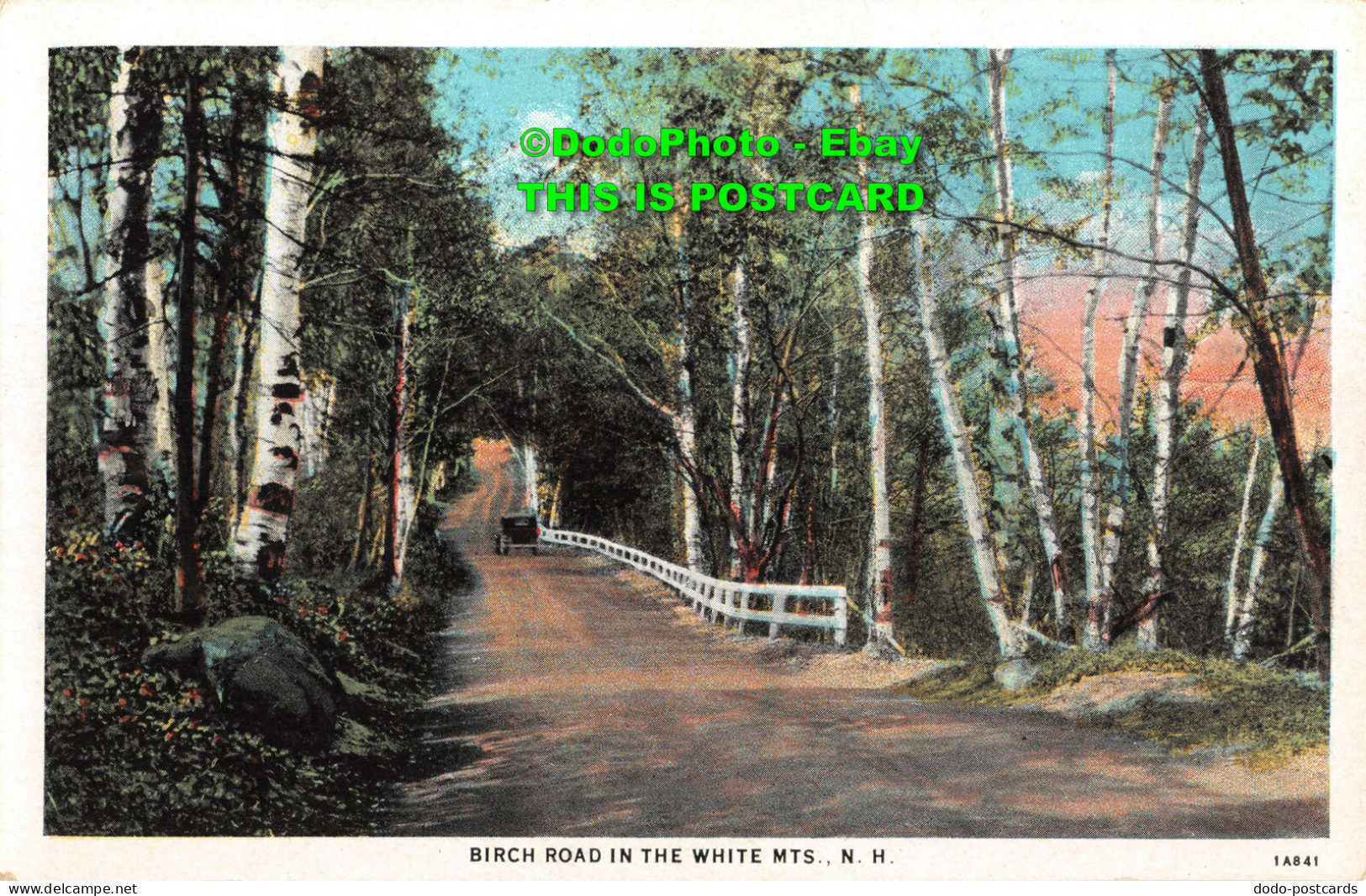 R346651 N. H. Birch Road In The White MTS. American Art Post Card Co. C. T. Amer - World