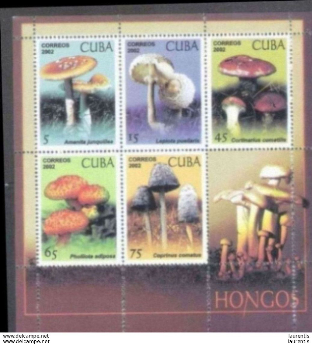 633  Mushrooms - Champignons - Yv B 171 - MNH - Cb - 2,25 -- (11) - Pilze