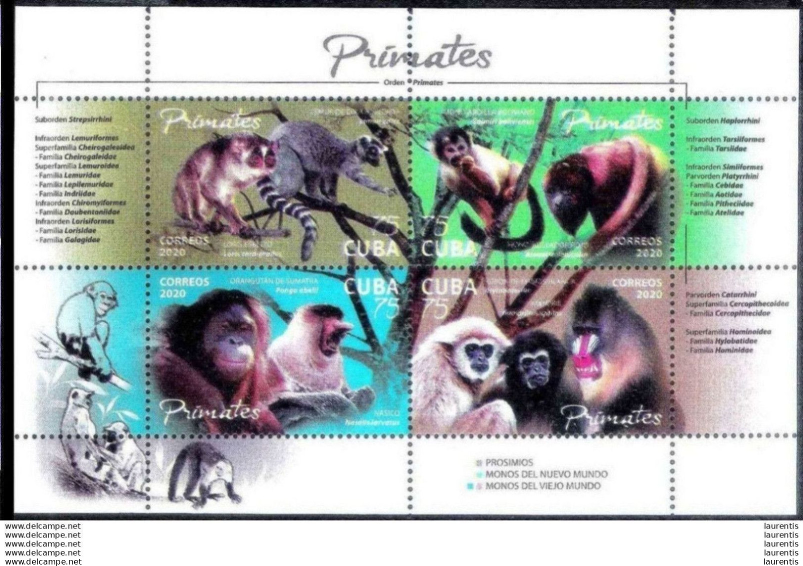 7461  Primates - MNH - 2020 - Cb - 2,85 - Monkeys