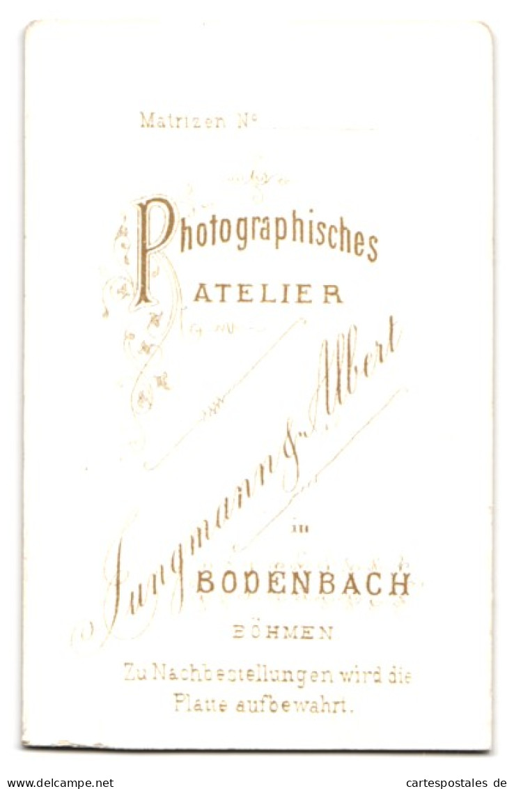 Fotografie Jungmann & Albert, Bodenbach /Böhmen, Charmanter Herr Im Anzug Mit Fliege  - Personnes Anonymes