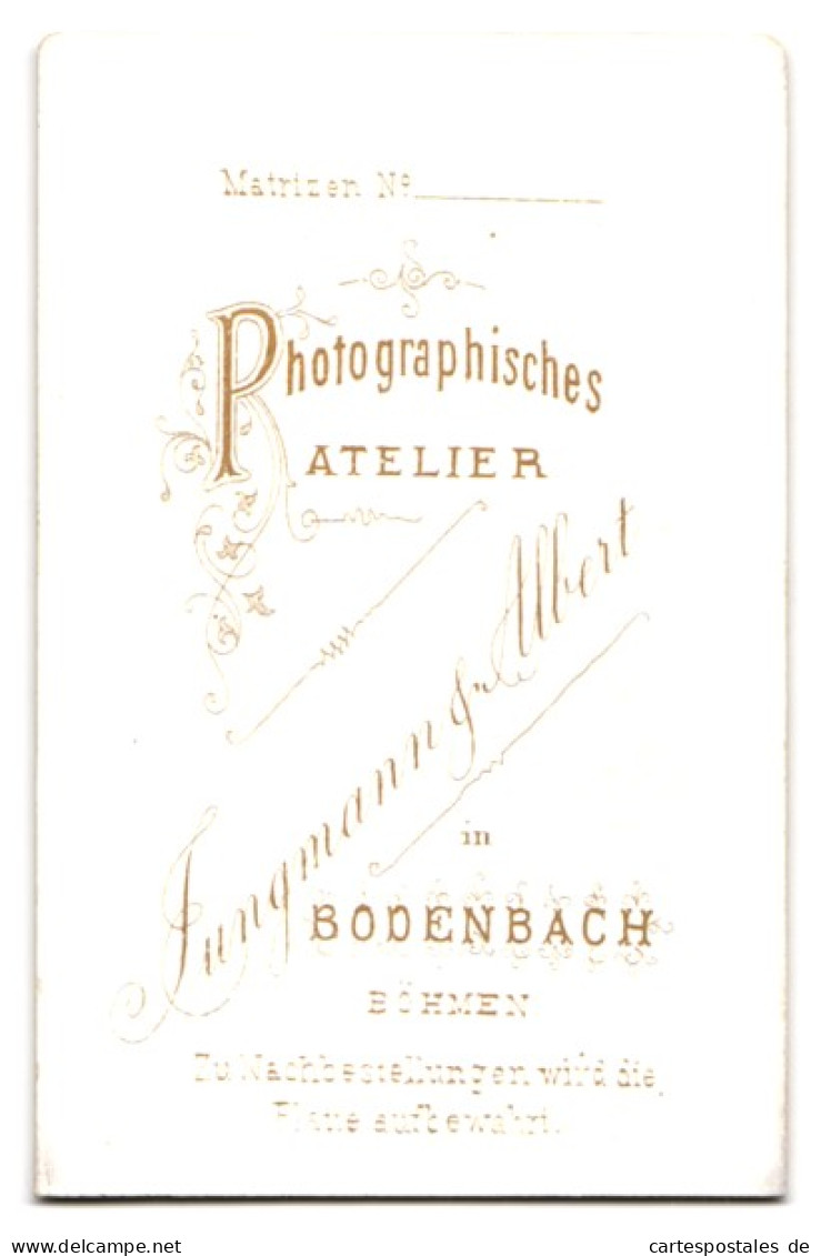 Fotografie Jungmann & Albert, Bodenbach /Böhmen, Junge Dame Mit Hochsteckfrisur  - Personnes Anonymes