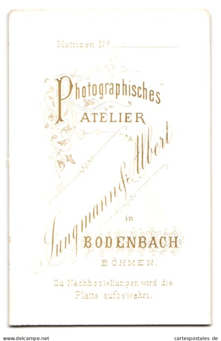 Fotografie Jungmann & Albert, Bodenbach /Böhmen, Elegant Gekleideter Herr Mit Oberlippenbart  - Personnes Anonymes