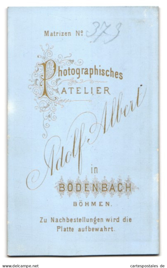 Fotografie Adolf Albert, Bodenbach /Böhmen, Bürgerliche Dame In Eleganter Kleidung  - Personnes Anonymes