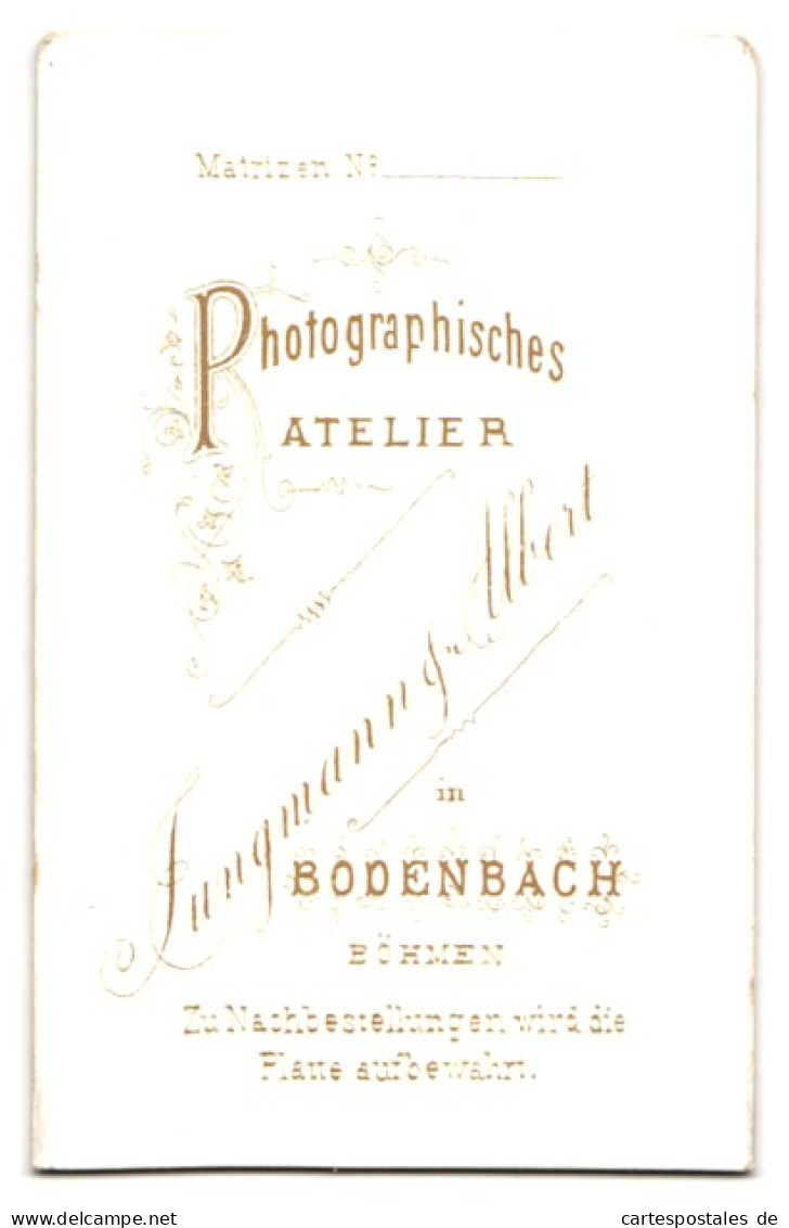 Fotografie Jungmann & Albert, Bodenbach /Böhmen, Junge Dame Mit Amulett  - Personnes Anonymes