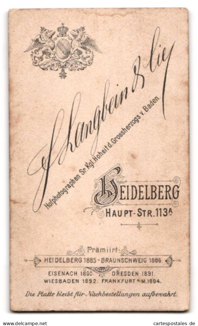 Fotografie F. Langbein & Cie, Heidelberg, Haupt-Str. 113, Junge Frau Mit Rüschenkleid  - Anonymous Persons
