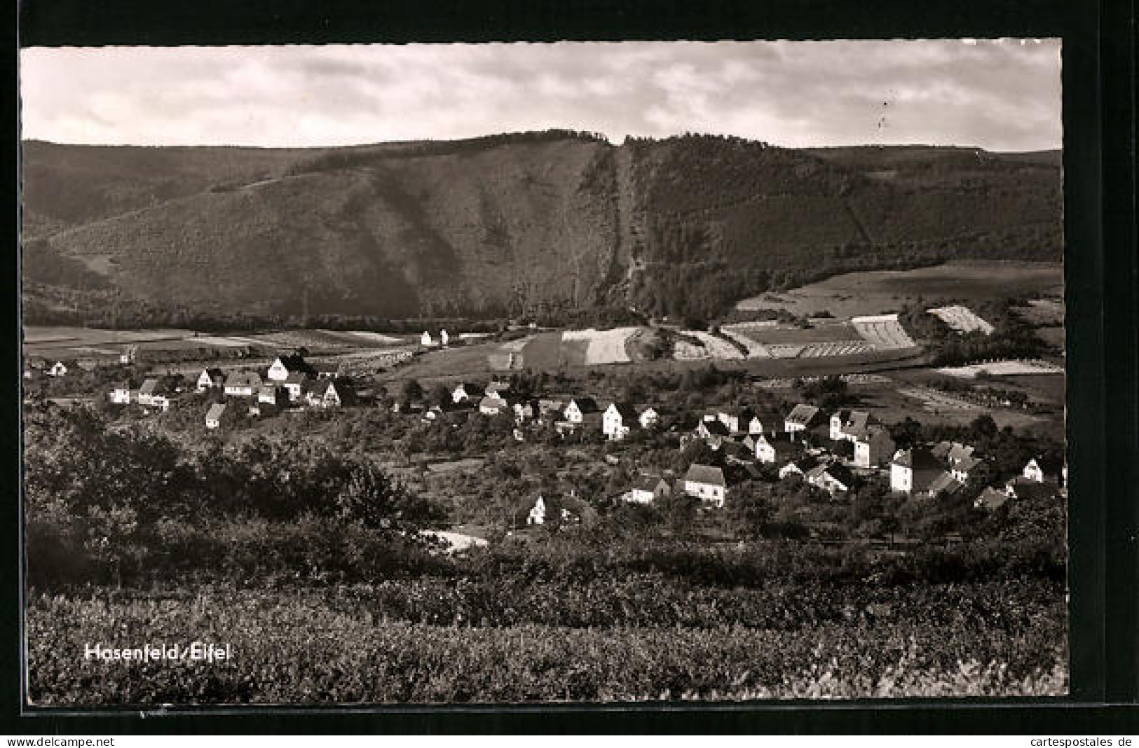 AK Hasenfeld /Eifel, Ortsansicht Mit Umland  - Autres & Non Classés