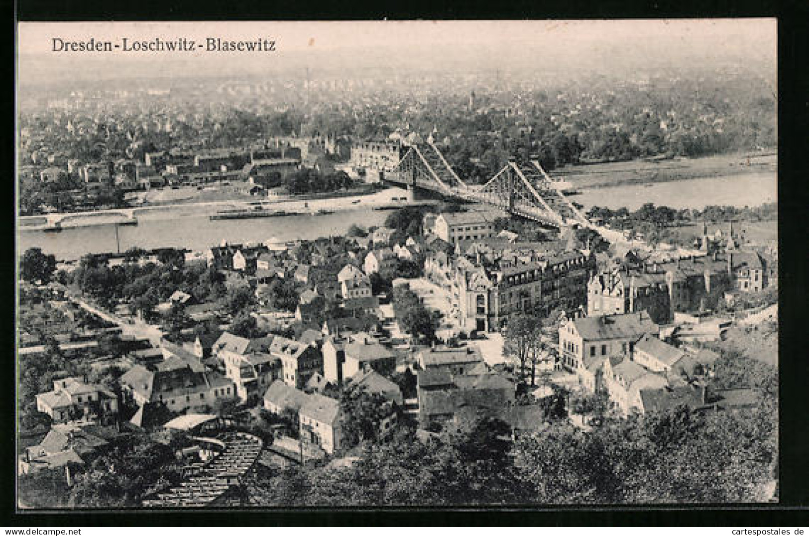 AK Dresden-Loschwitz, Blick Nach Blasewitz Aus Der Vogelschau  - Dresden