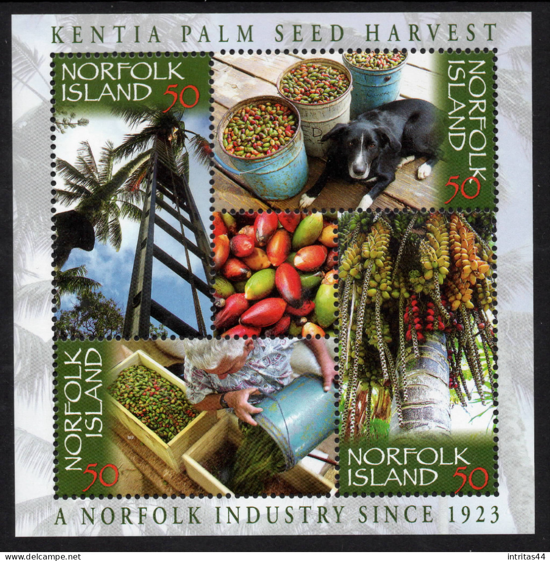 NORFOLK ISLAND 2007 " KENTIA PALM SEED HARVEST SHEET   MNH - Norfolk Eiland