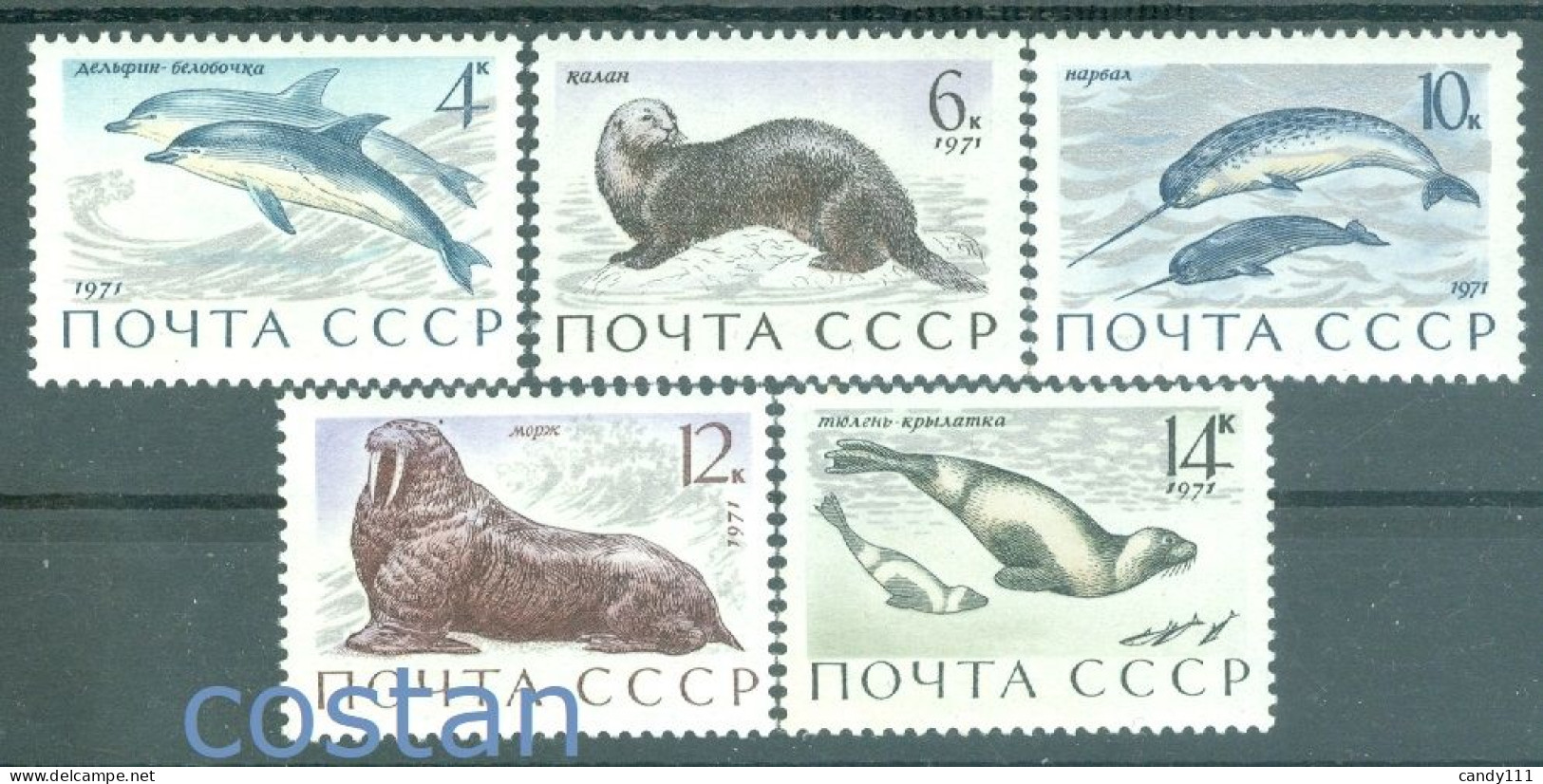 1971 Sea Animals,dolphin,sea Otter,narwhal,walrus,ribbon Seal,Russia,3913,MNH - Nuovi