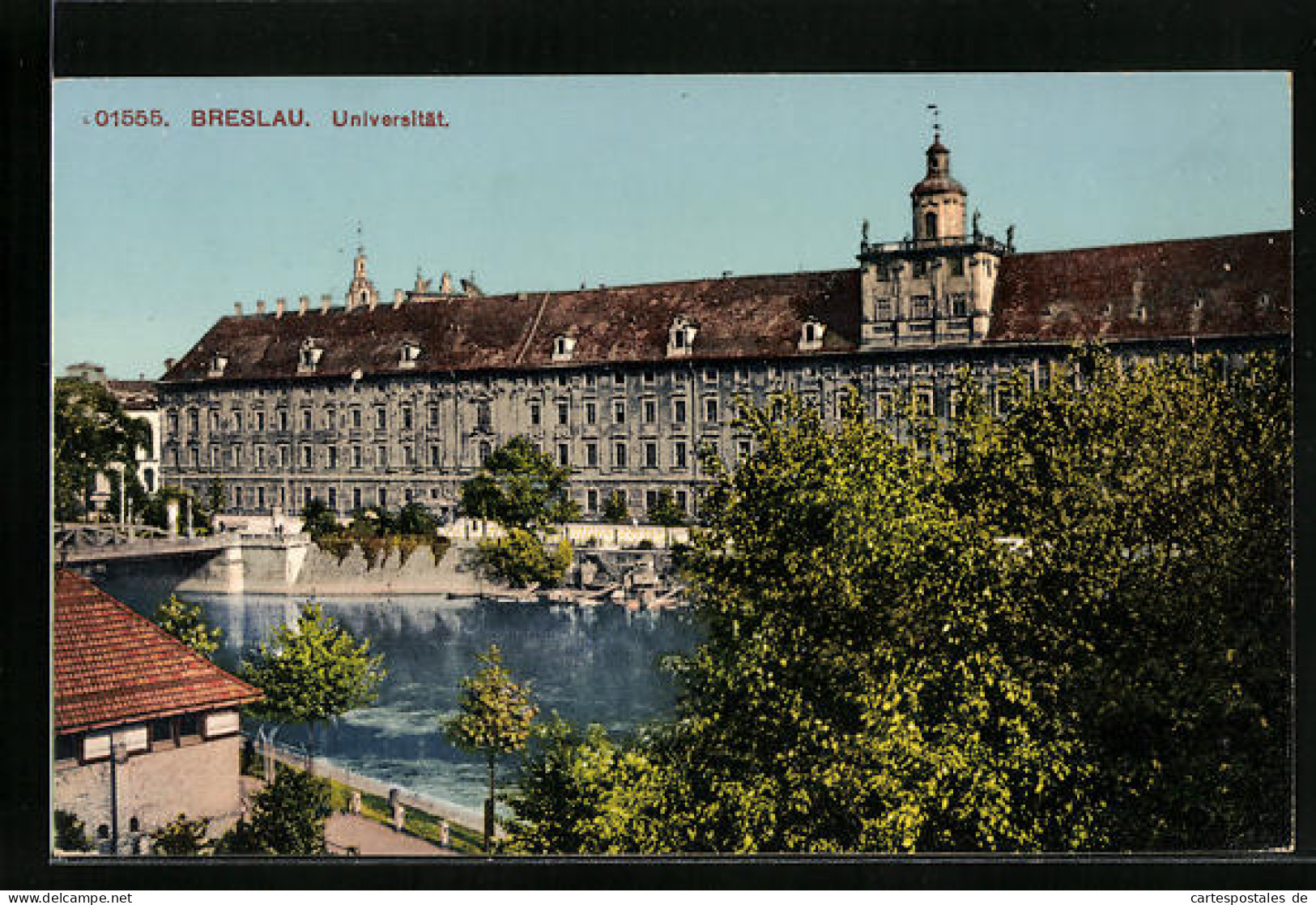 AK Breslau, Ansicht Der Universität  - Schlesien