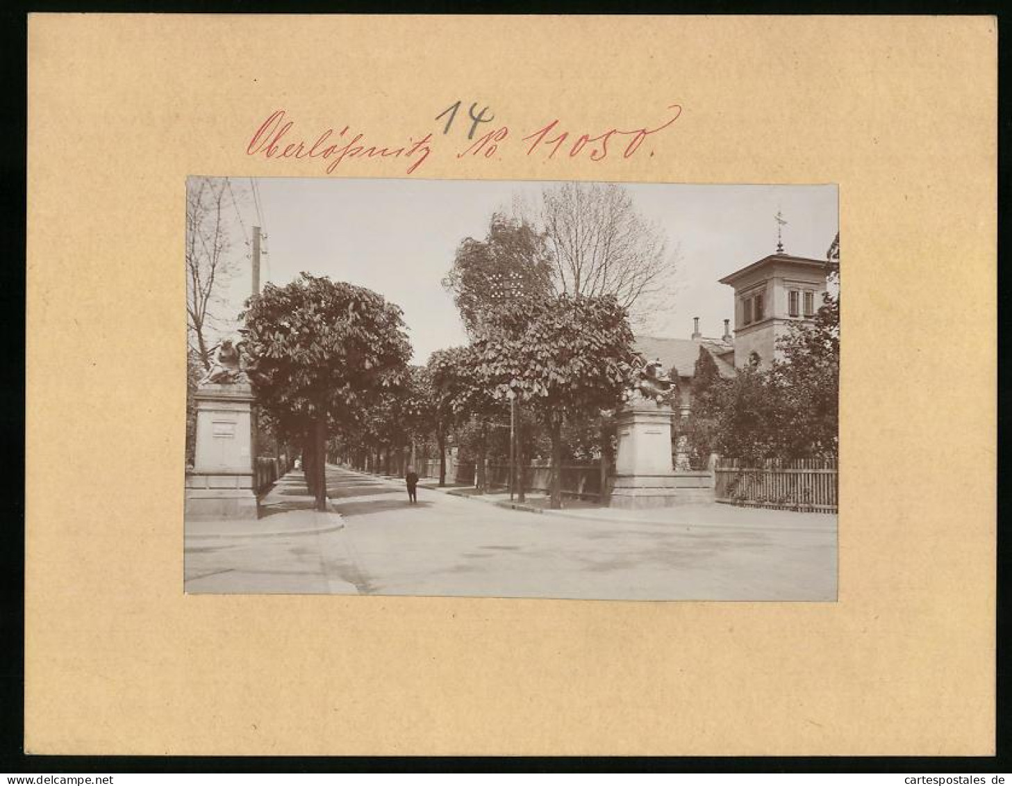 Fotografie Brück & Sohn Meissen, Ansicht Oberlössnitz, Blick In Die Sophienstrasse Mit Statuen  - Lugares